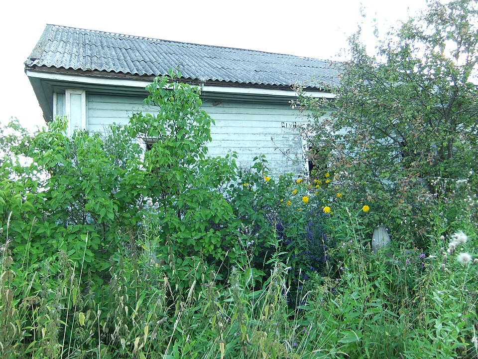 Badly cropped photo of a garden before work